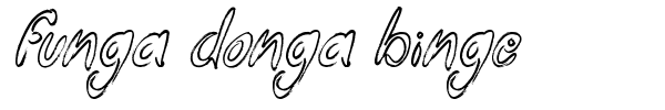 Funga Donga Binge font