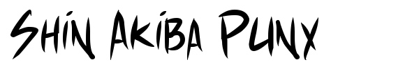Shin Akiba Punx font preview