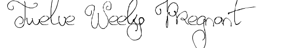 Twelve Weeks Pregnant font