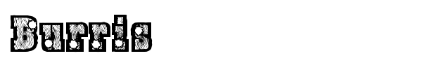 Burris font