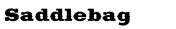 Saddlebag font