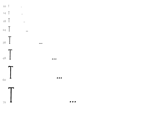Camargue Serif font waterfall