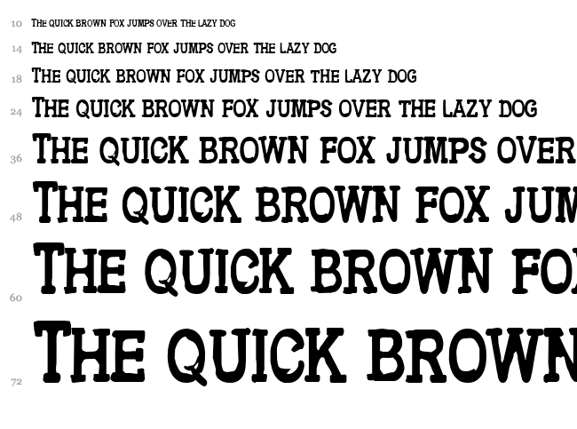 CF Metropolis Serif font waterfall
