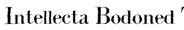 Intellecta Bodoned Trash font