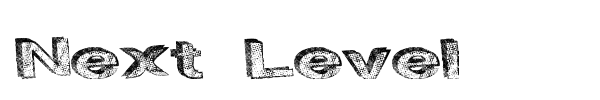 Next Level font preview
