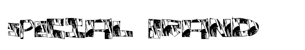 Special Brand font
