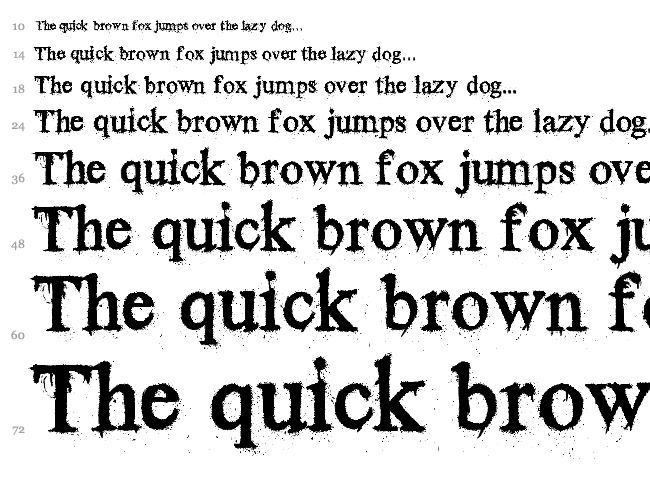 Times New Yorker font waterfall