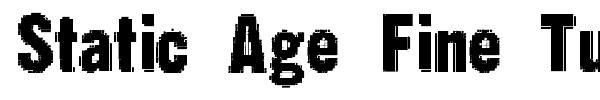Static Age Fine Tuning font