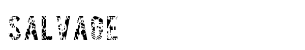 Salvage font
