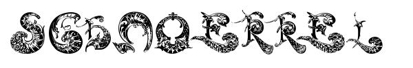 Schnoerkel Caps font