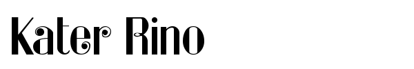 Kater Rino font
