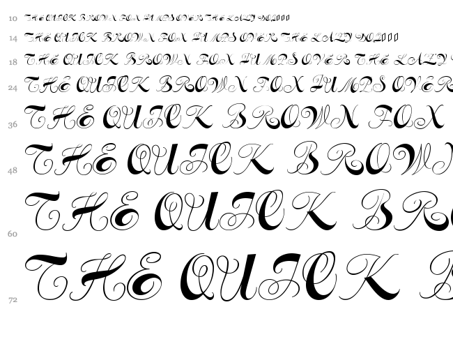 Constanze Initials font waterfall