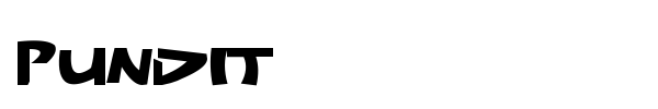 Pundit font
