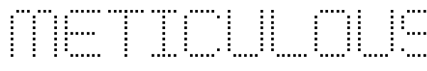 Meticulous Round font