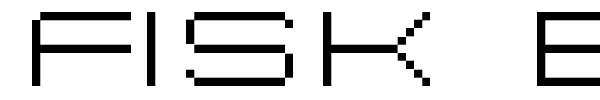 Fisk Bitmap Nr2 font