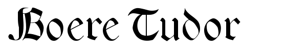 Boere Tudor font