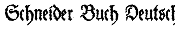 Schneider Buch Deutsch font
