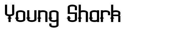 Young Shark font