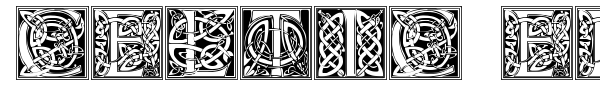 Celtic Eels font