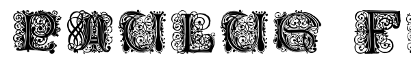 Paulus Franck Initialen font preview