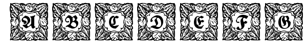 Schmuck-Initialen font