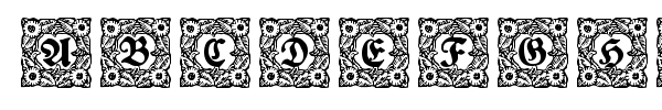 Schmuck-Initialen font preview