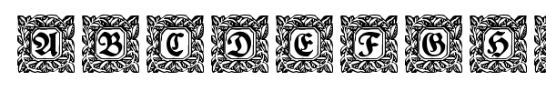Schmuck-Initialen font preview
