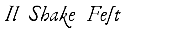Il Shake Fest font
