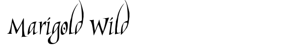 Marigold Wild font