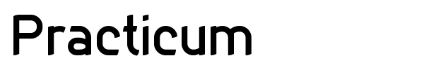 Practicum font