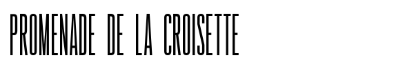Promenade de la Croisette font