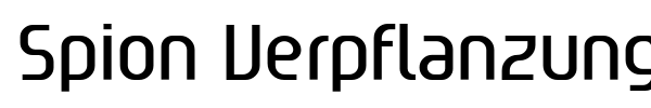 Spion Verpflanzung font