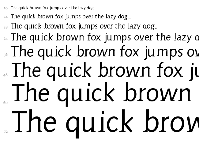 Aida Serif font waterfall