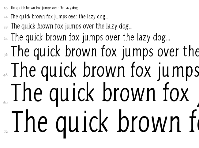 Aida Serif font waterfall