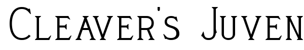 Cleaver's Juvenia font preview