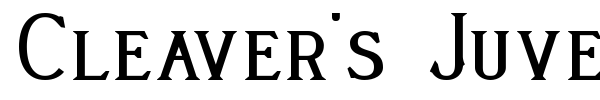 Cleaver's Juvenia font preview