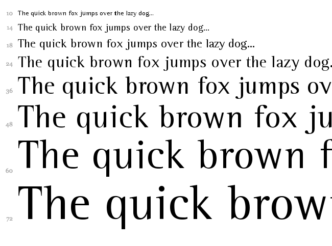 Leftist Mono Serif font waterfall