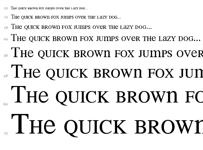 Mean 26 Serif font waterfall