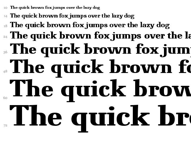 Novello Pro font waterfall