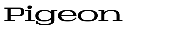 Pigeon font