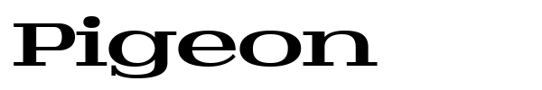 Pigeon font preview