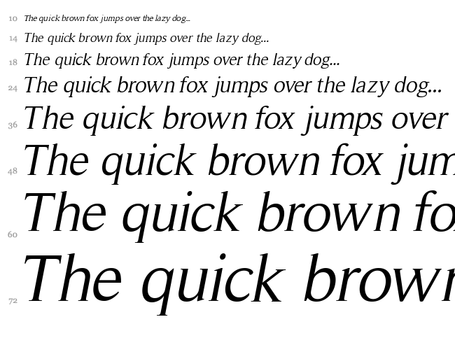 Roman Serif font waterfall