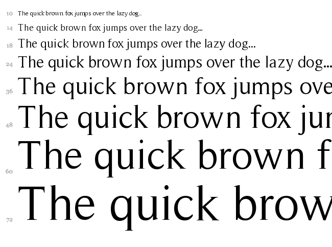 Roman Serif font waterfall