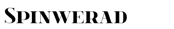 Spinwerad font