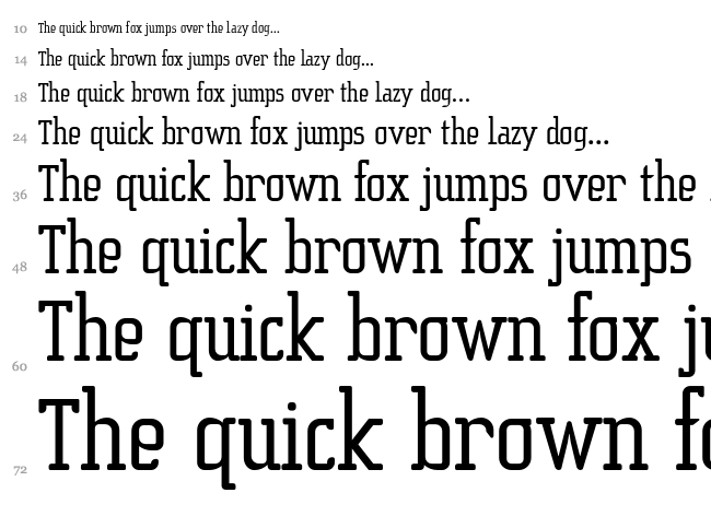 Sucesi?n Slab font waterfall
