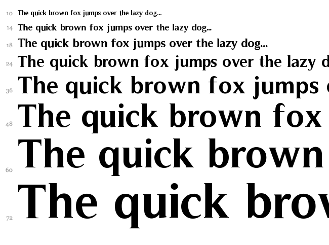 Timeless font waterfall
