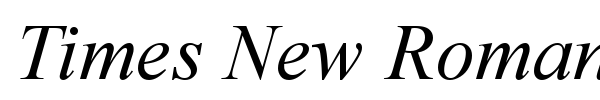 Times New Roman font