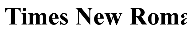 Times New Roman font preview