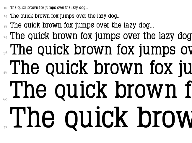 Typo Latin Serif font waterfall