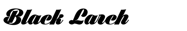 Black Larch font